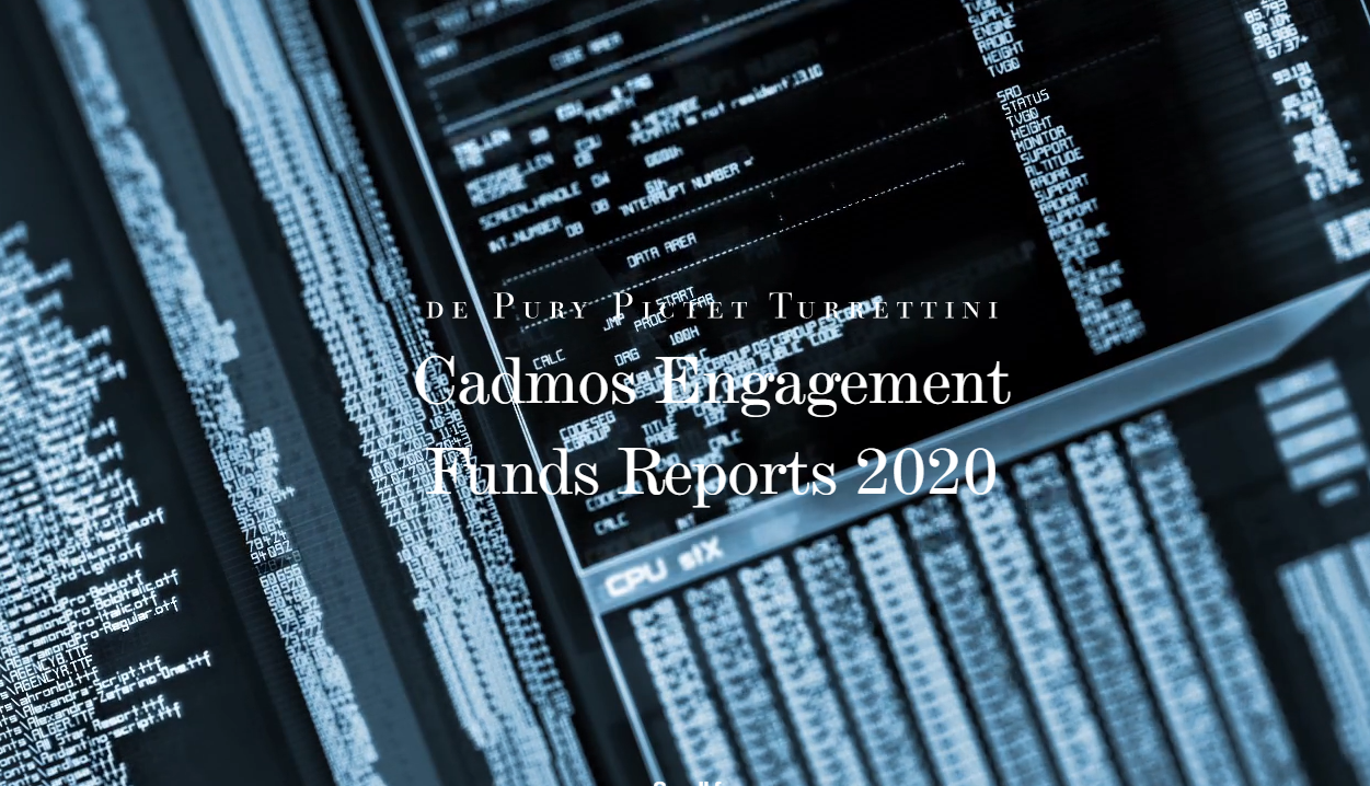 report2020_FinalSite